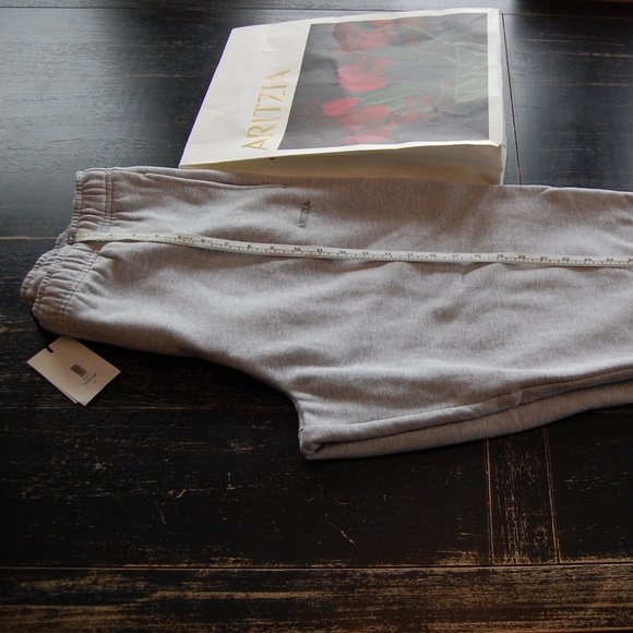 Aritzia Mega Fleece Sweatpants L/G - New with tags - Picture 4 of 6